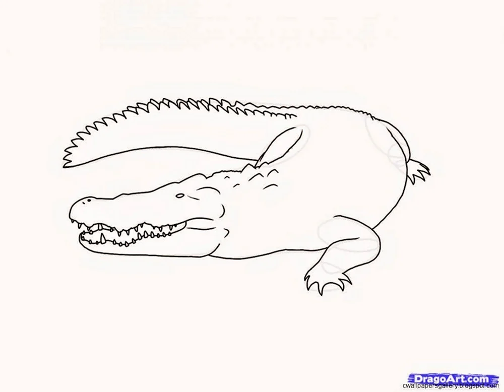 Крокодил набросок лёгкий