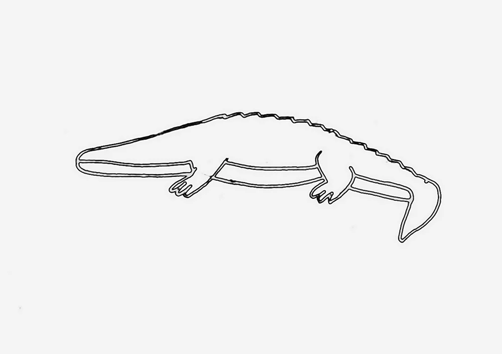 Крокодил рисунок легкий