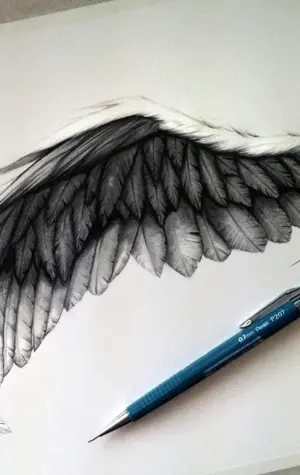 Крылья эскиз