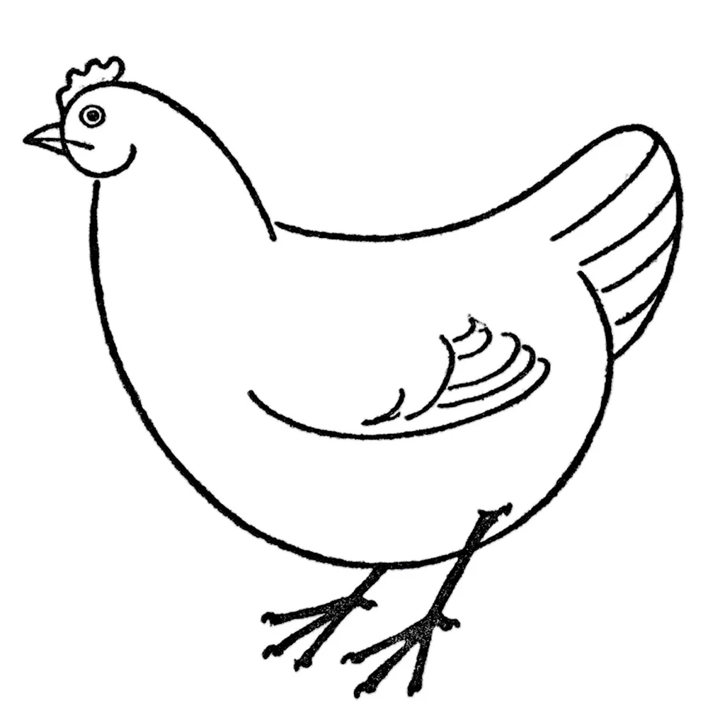 Курица для рисования легкая