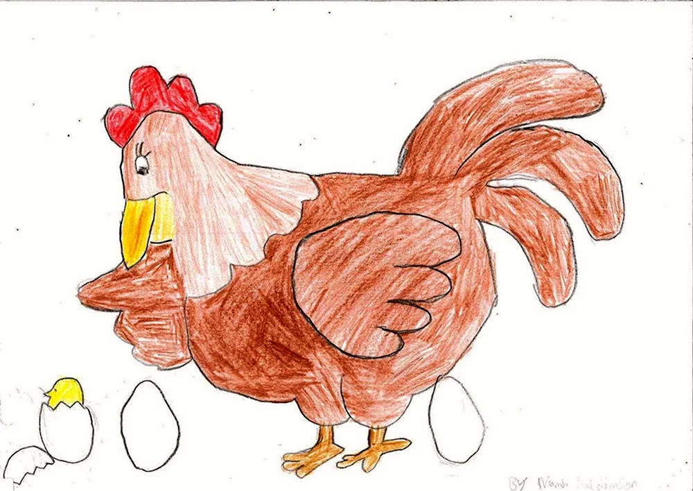 Курица рисунок карандашом