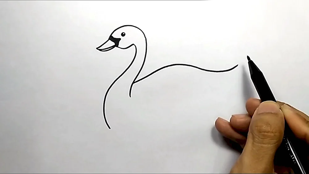 Лебедь рисованный от руки маркером