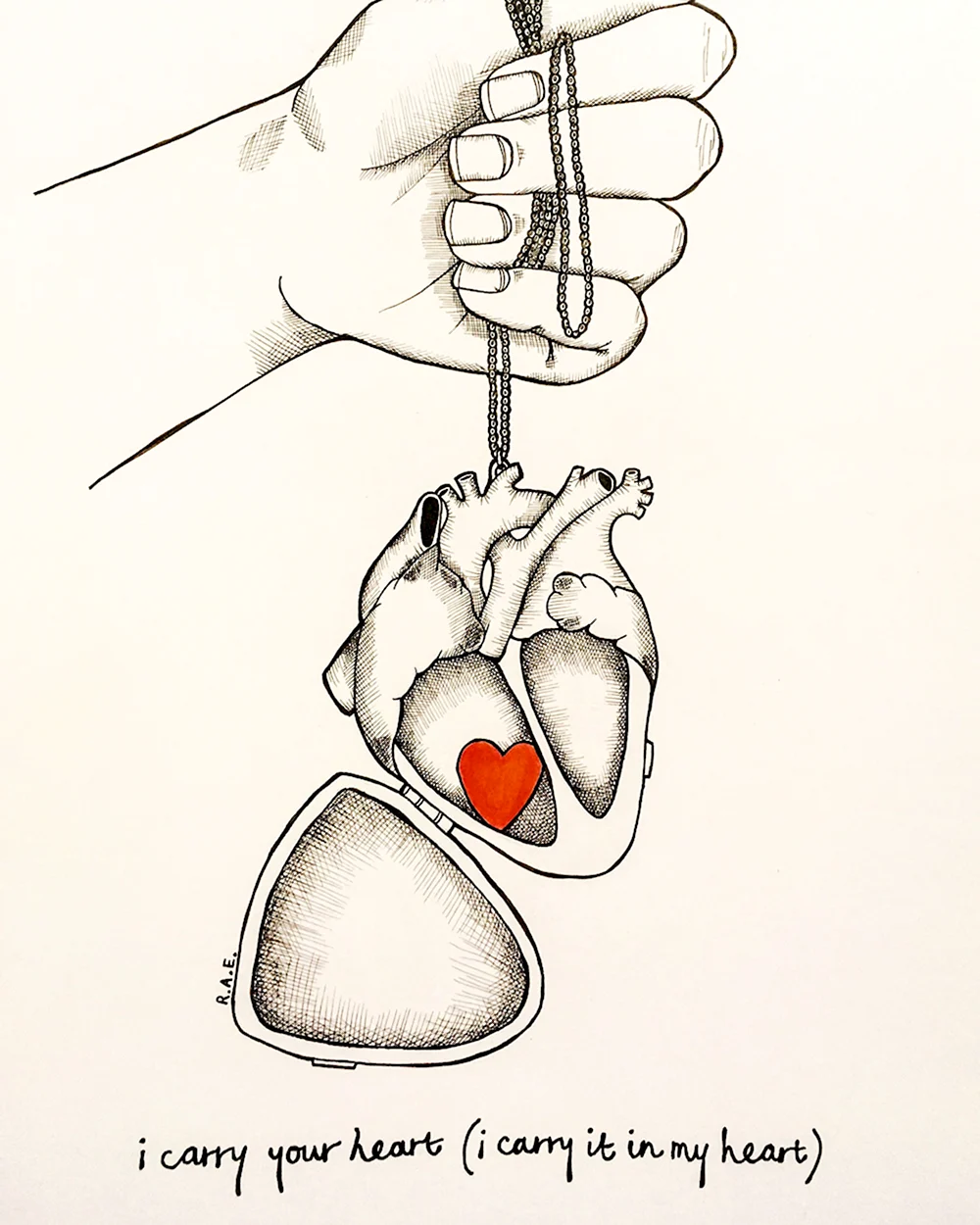 Лёгкие и сердце человека рисунок