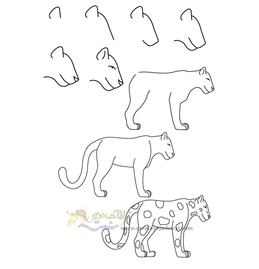 Лёгкие рисунки животных