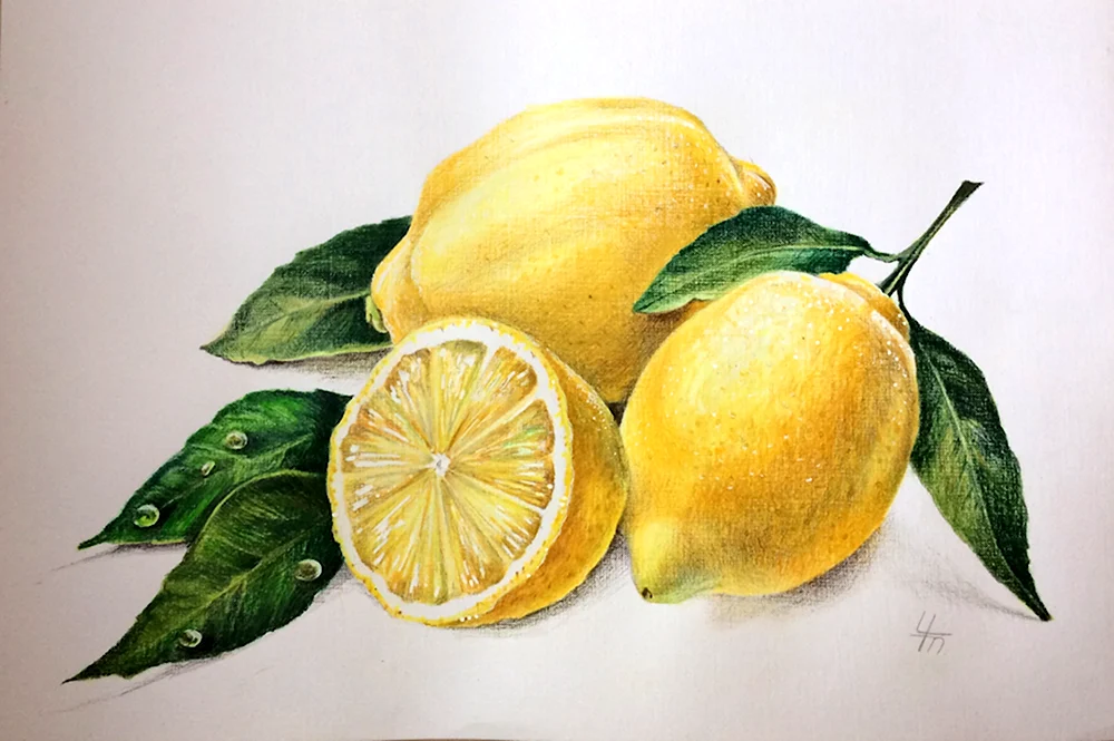 Лимон акварельными карандашами