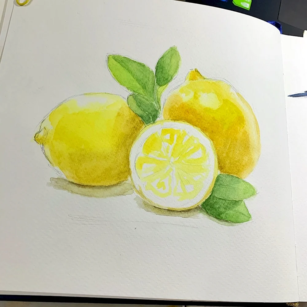 Лимон простым карандашом