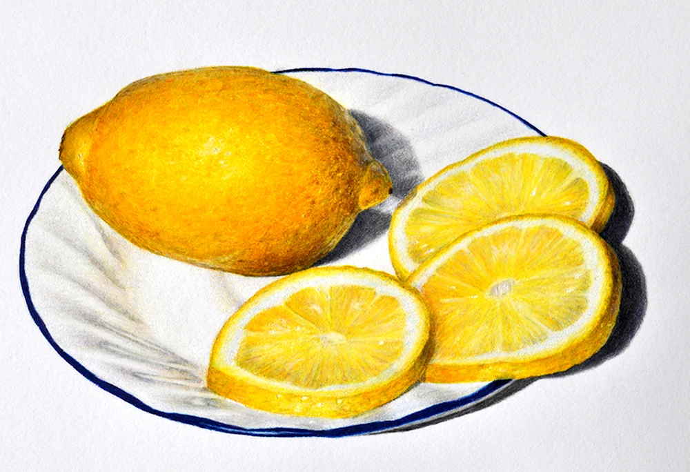 Лимон рисунок