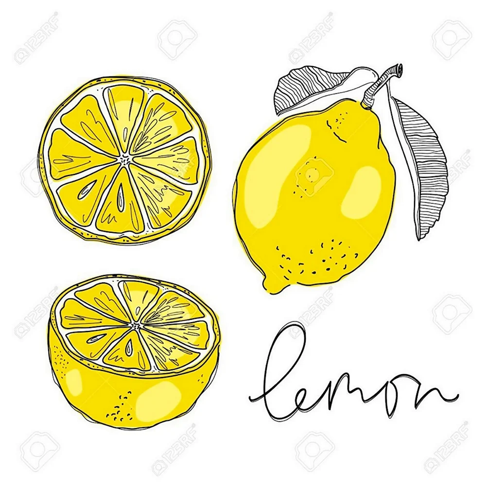 Лимон скетч