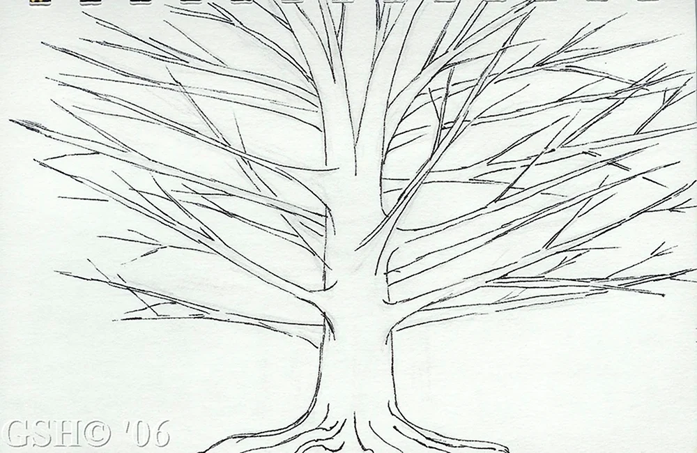 Листья деревьев карандашом для срисовки