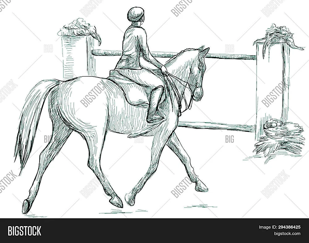 Лошадь карандашом конкур