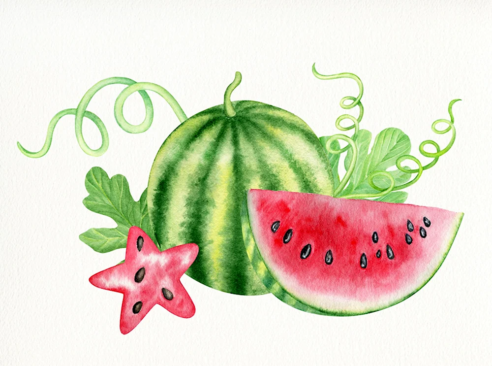 Mark and Watermelons Art