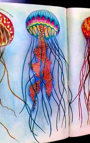 Медуза рисунок цветными карандашами