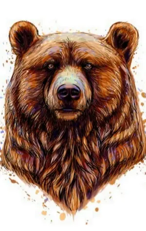 Медведь для принта