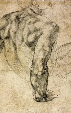 Микеланджело Буонарроти анатомия