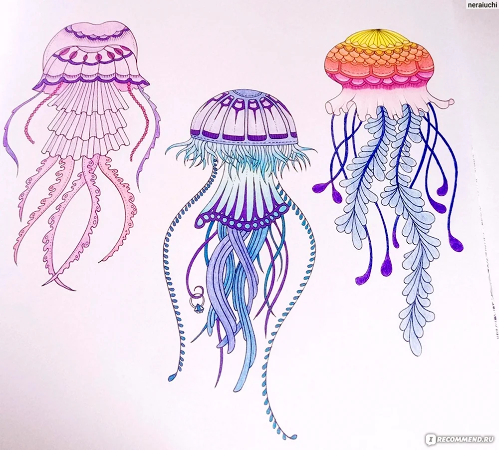 Милая медуза