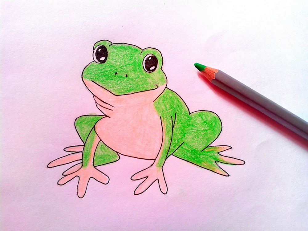 Милые рисунки лягушек для срисовки