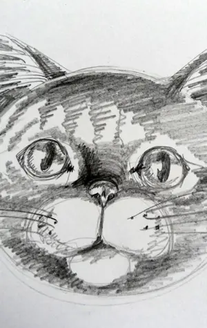 Морда кошки карандашом