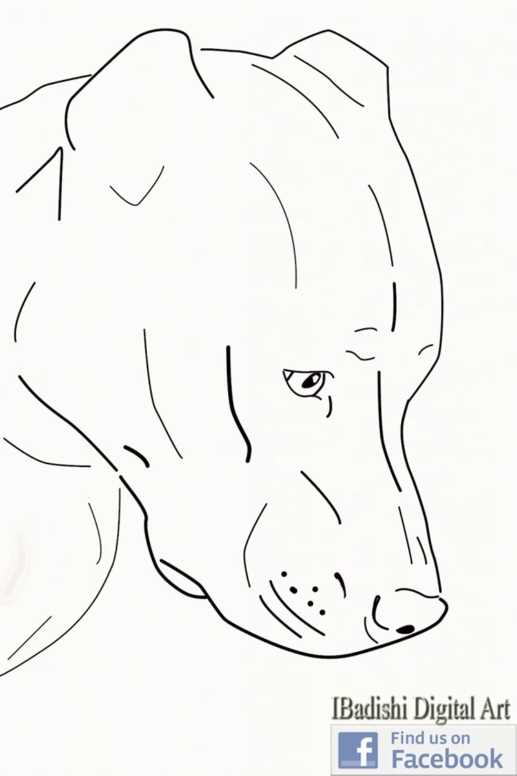 Морда собаки рисунок карандашом