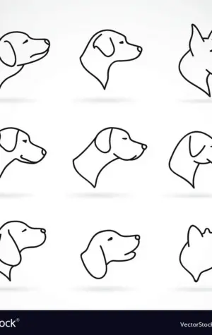 Морда собаки в профиль рисунок