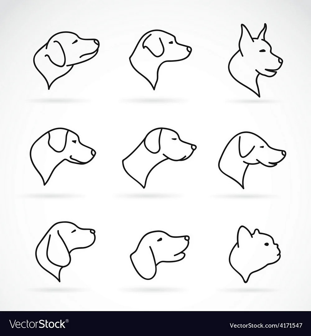 Морда собаки в профиль рисунок