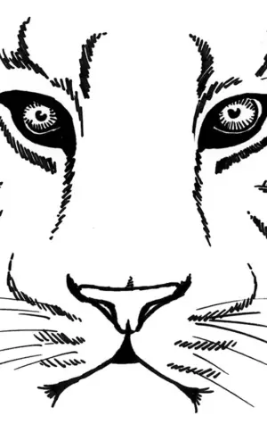 Морда тигра рисунок карандашом