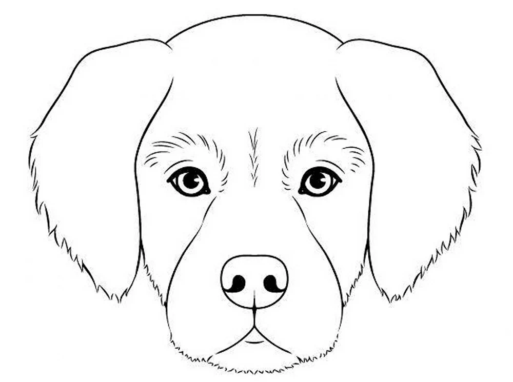Мордочка собаки для рисования