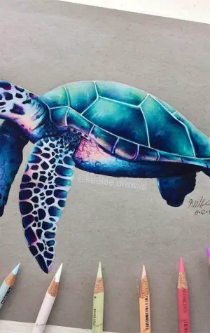 Морская черепаха цветными карандашами