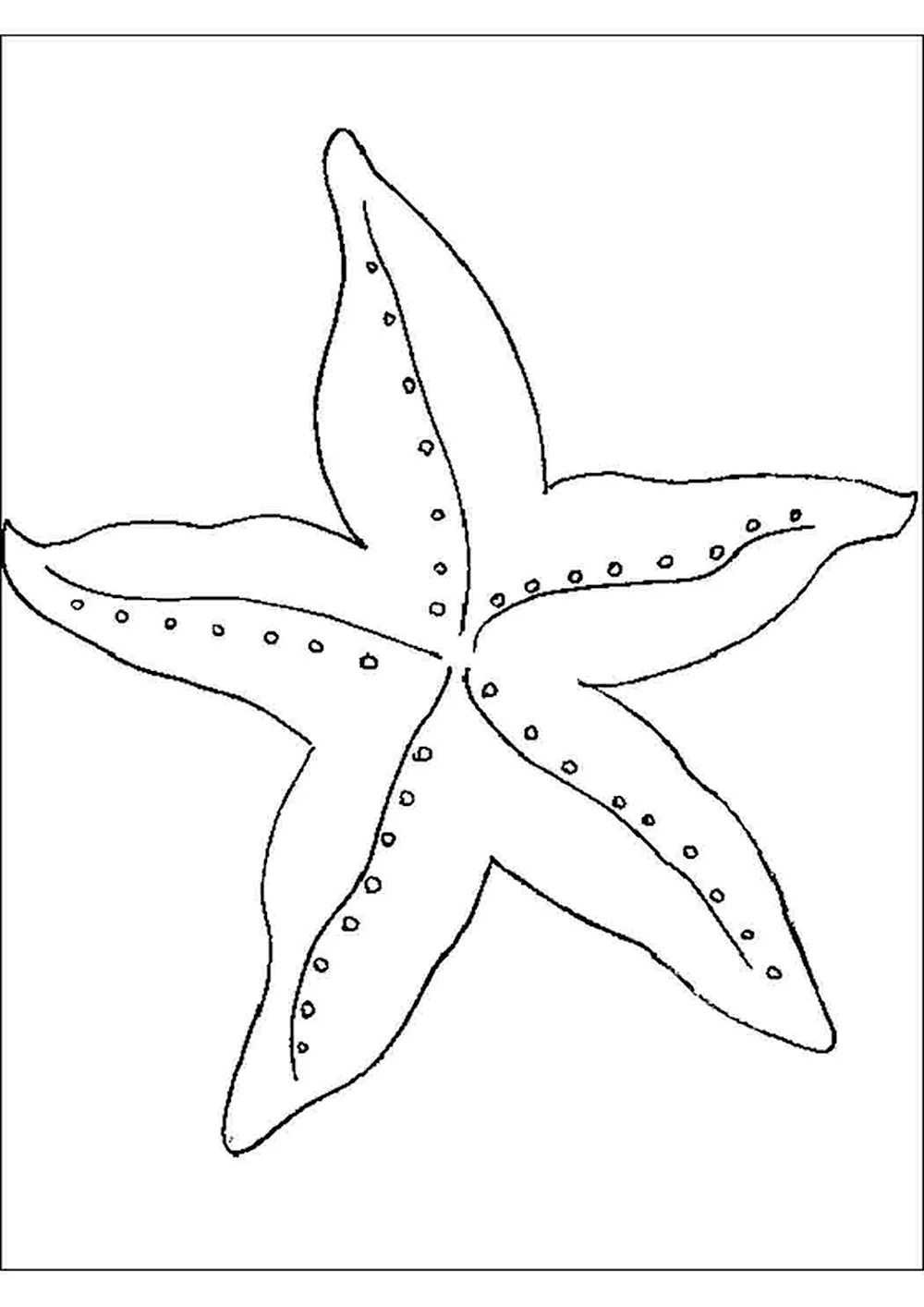 Морская звезда трафарет