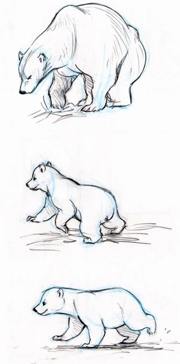 Нарисовать белого медведя сбоку