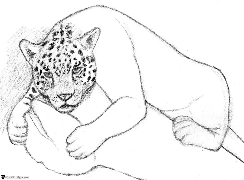 Нарисовать ягуара