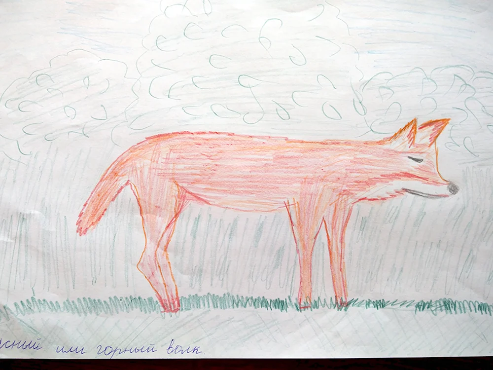 Нарисовать красного волка