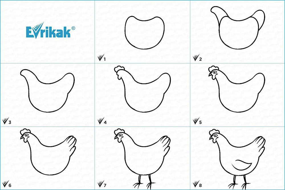 Нарисовать курицу карандашом поэтапно для начинающих детей