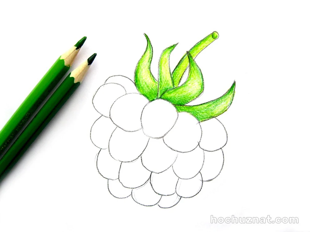 Нарисовать малину карандашом