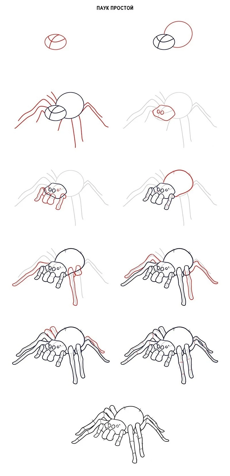 Нарисовать паука