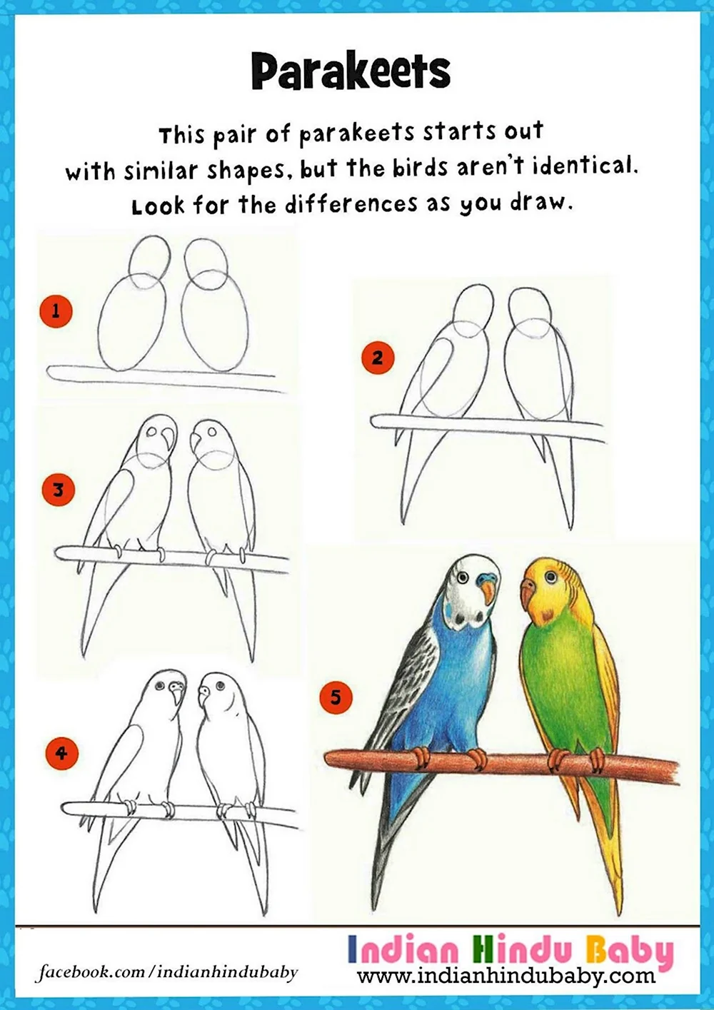 Нарисовать попугая волнистого пошагово