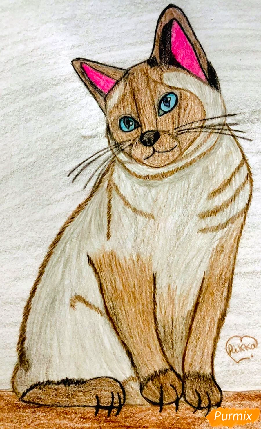 Нарисовать сиамскую кошку карандашом