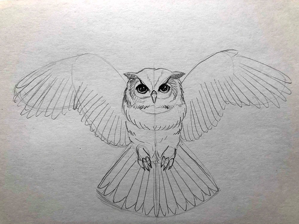 Нарисовать сову карандашом