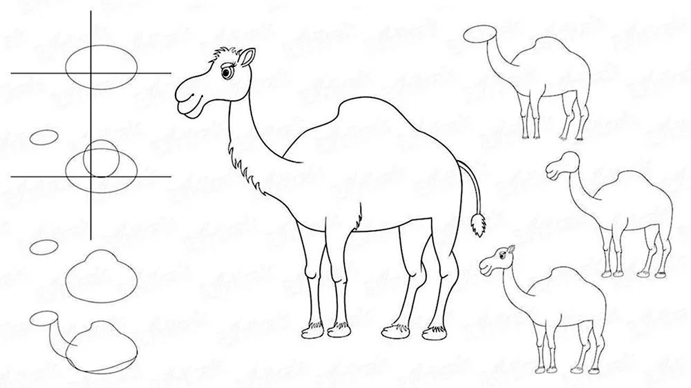 Нарисовать верблюда
