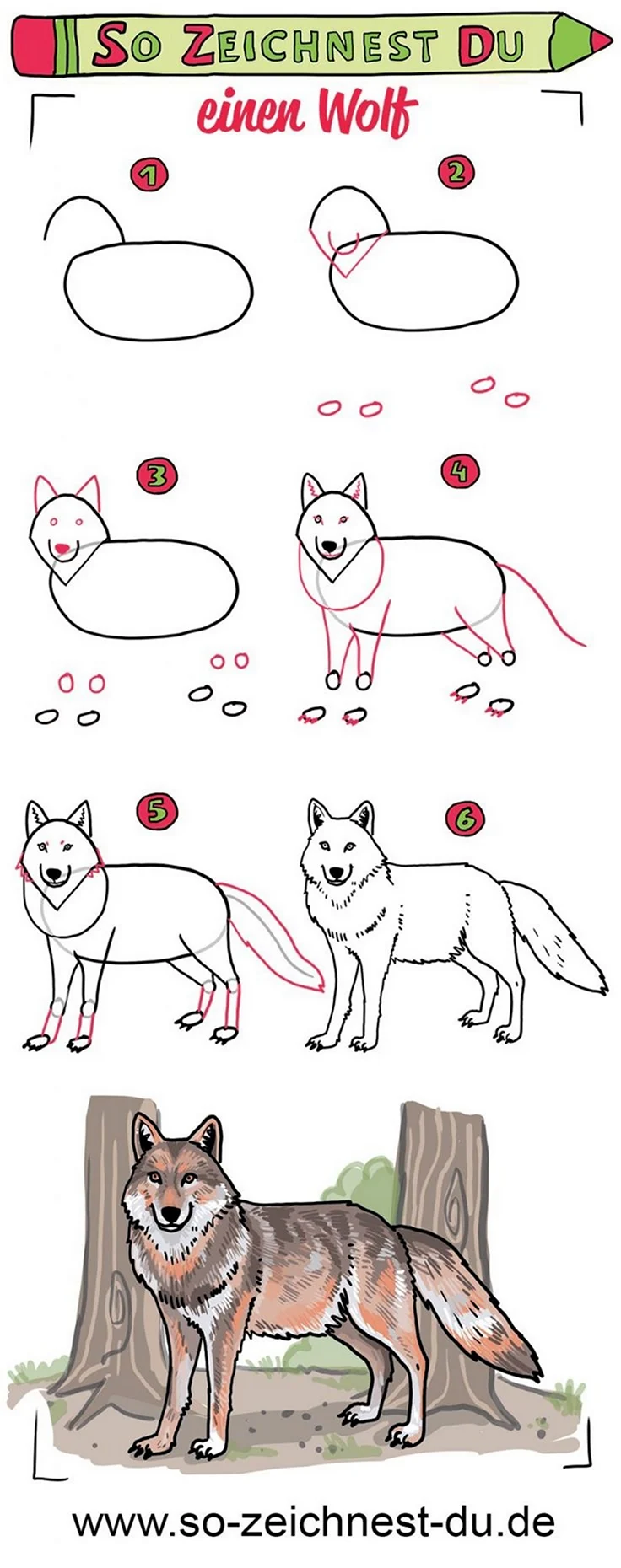 Нарисовать волка схема