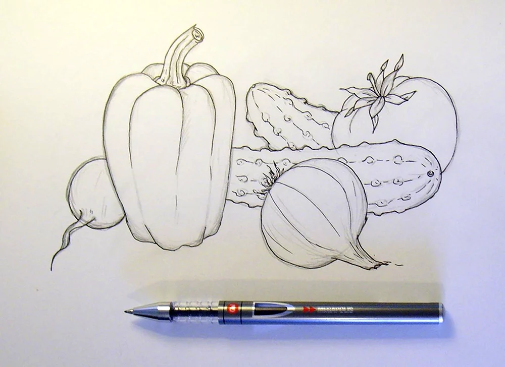 Натюрморт с овощами карандашом