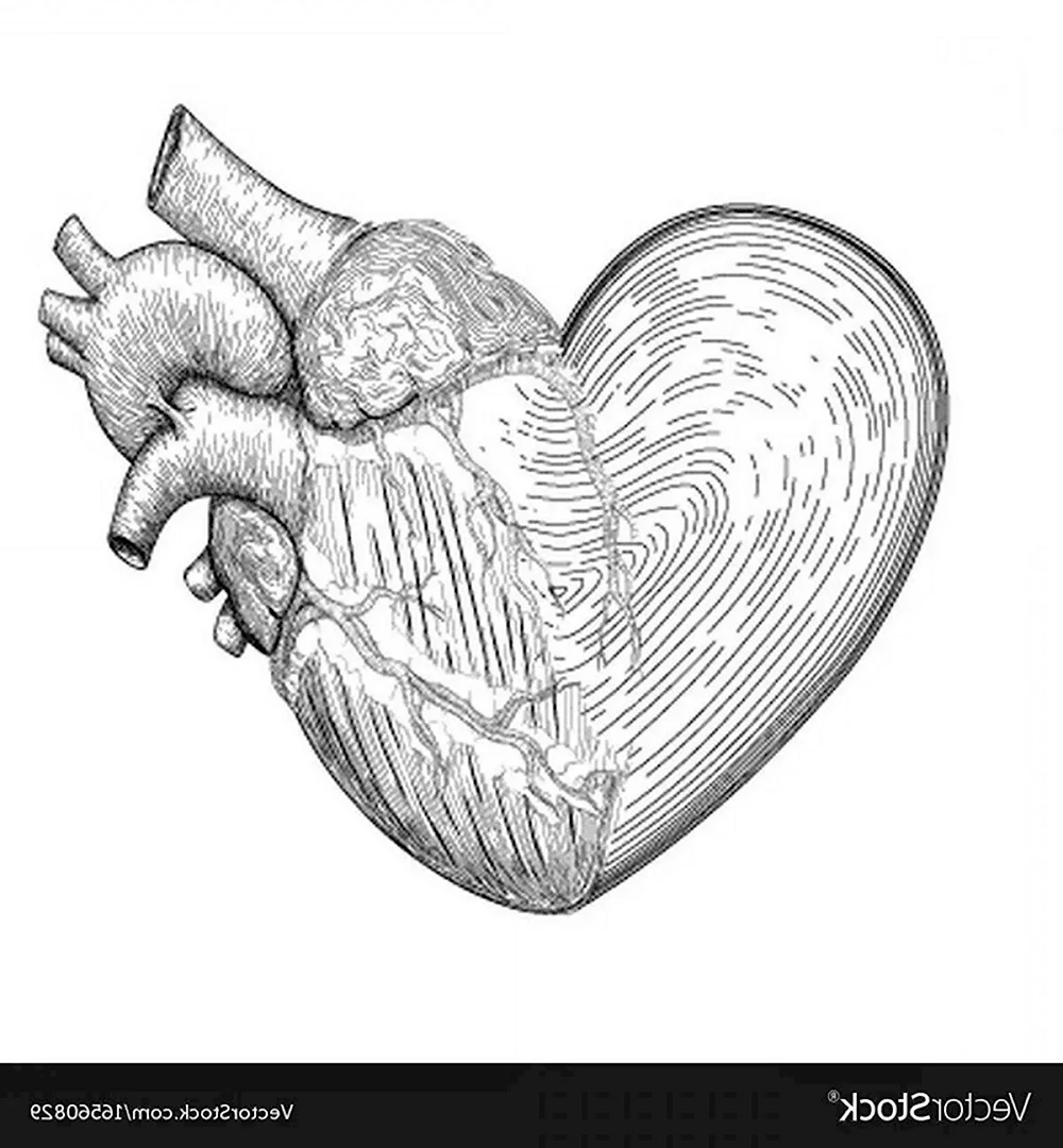 Необычное сердце рисунок