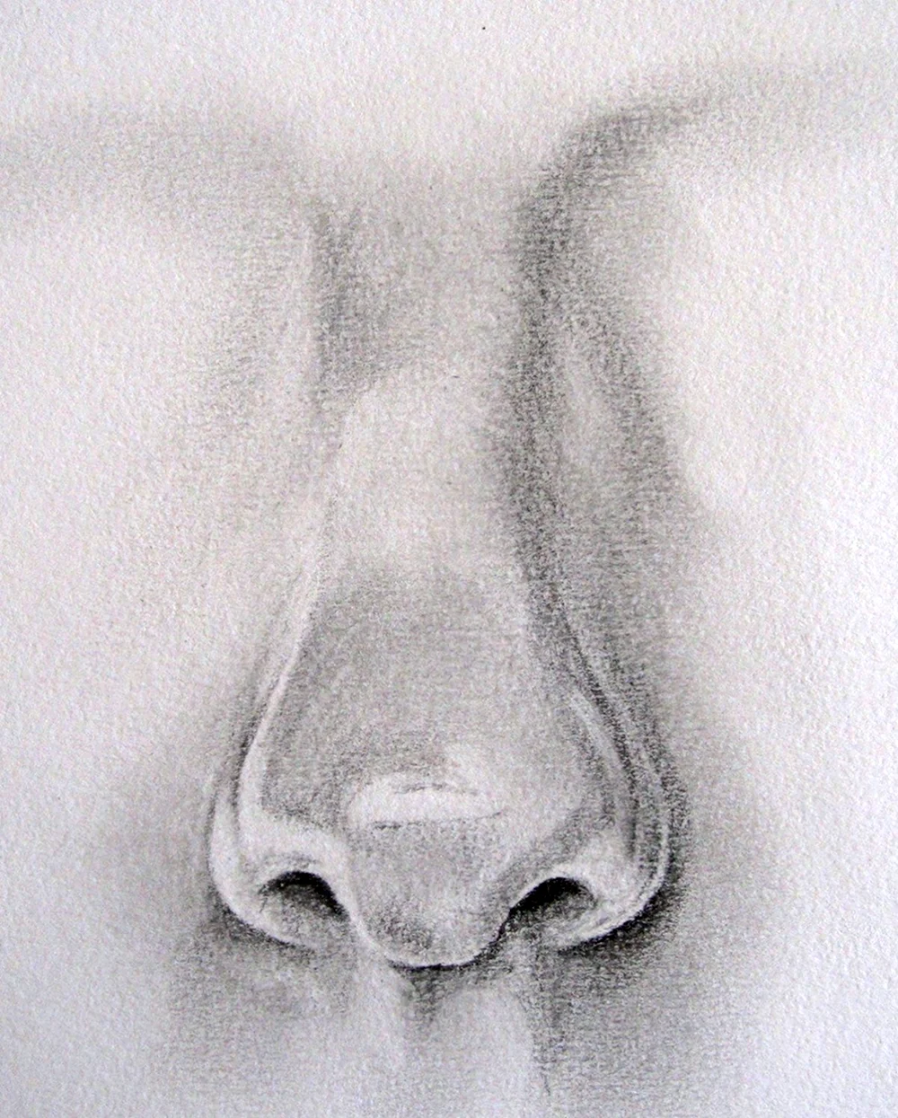 Нос рисунок