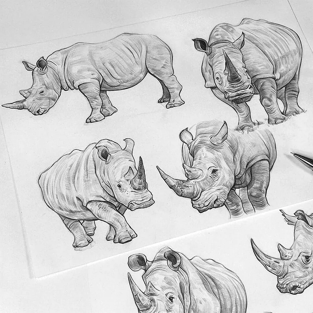 Носорог для рисования