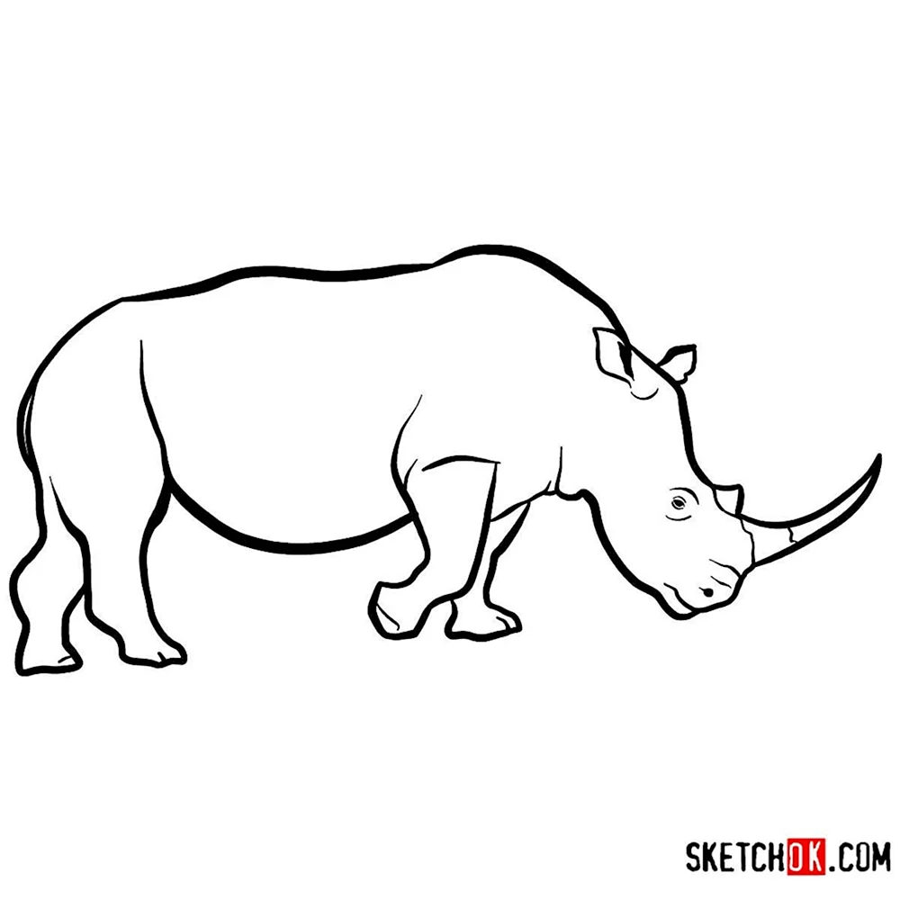 Носорог картинка для детей