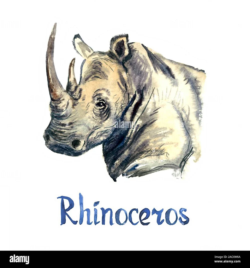 Носорог рисует свой Рог