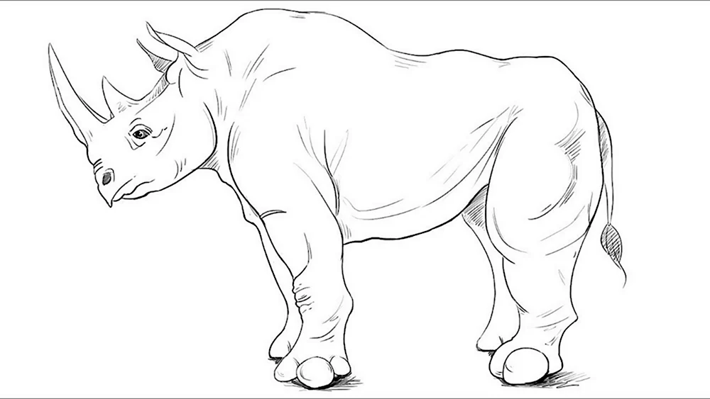 Носорог рисунок