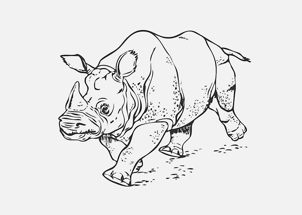 Носорог сбоку