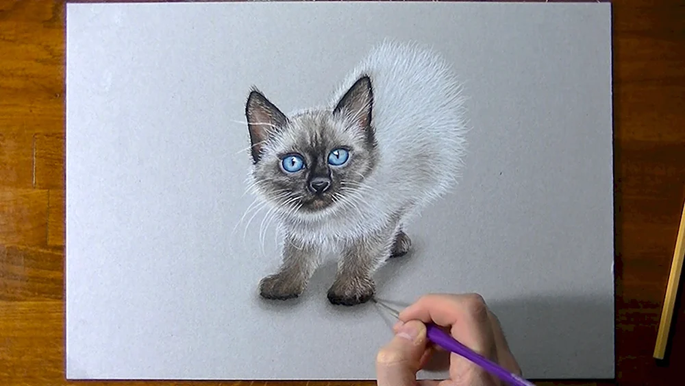 Объемный рисунок котик