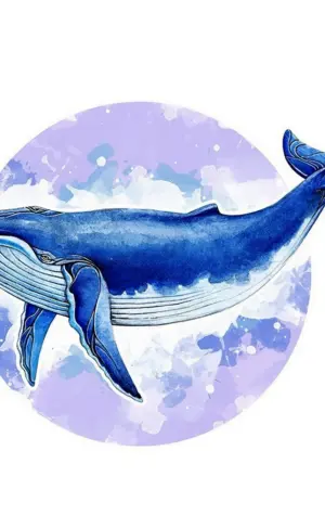 Октонафты и кит Горбач