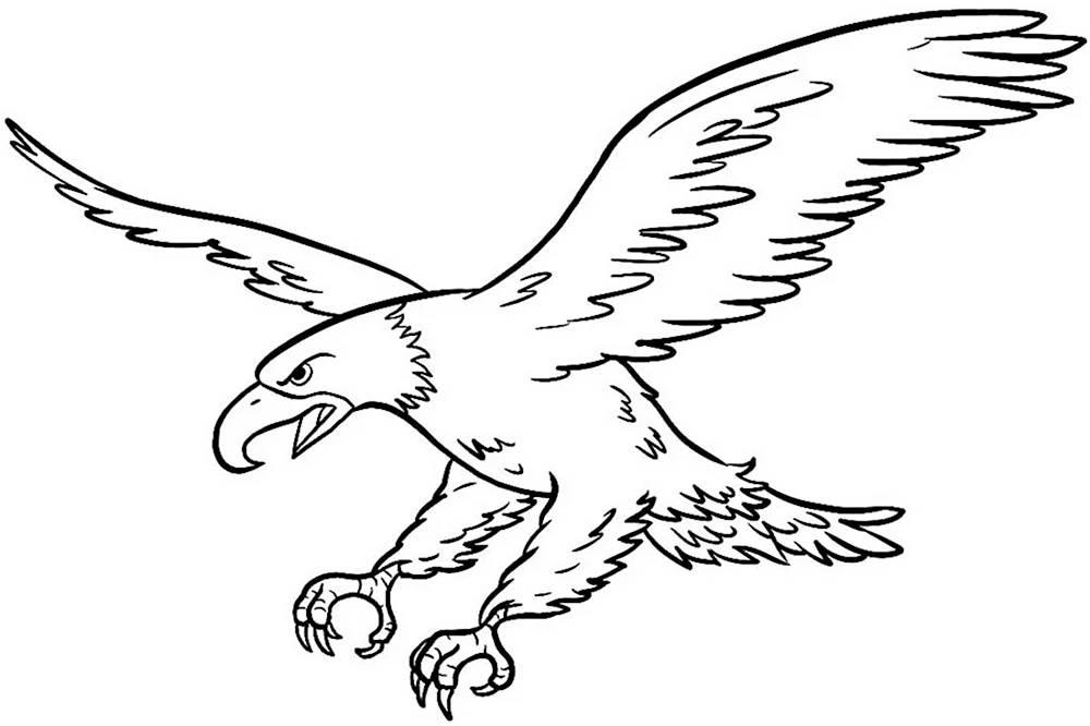 Орёл рисунок карандашом для детей